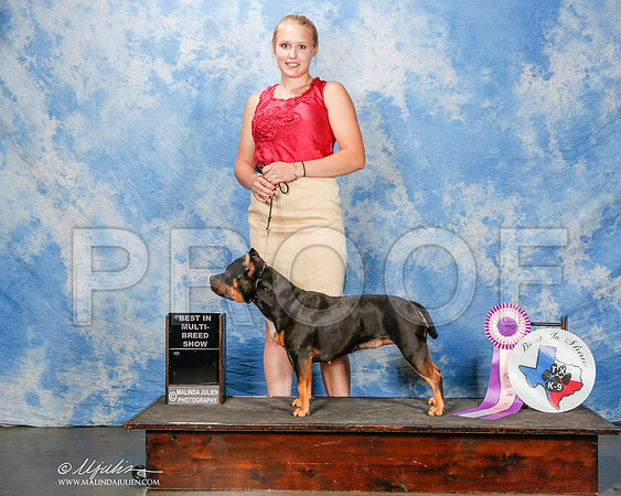 _ST_9807-2-CnroeJul2014-HR3