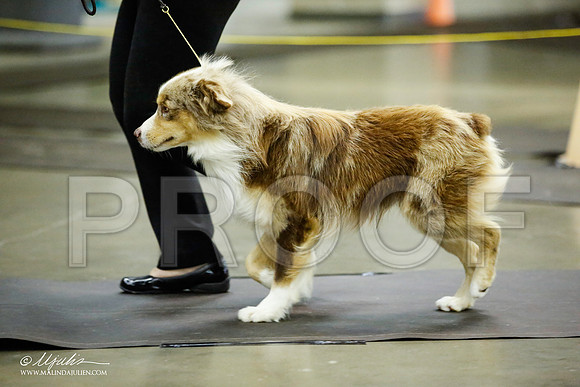 _JJ_6278-BeltonJan2015IABCA-HR3