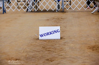 Working Group Sat Ring