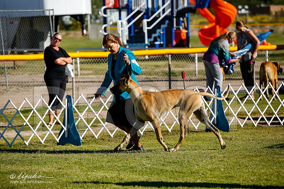 _JJ_9110-AlamogordoOct2014-HR3