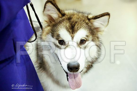 _JJ_5083-HstnJul2014-HR3