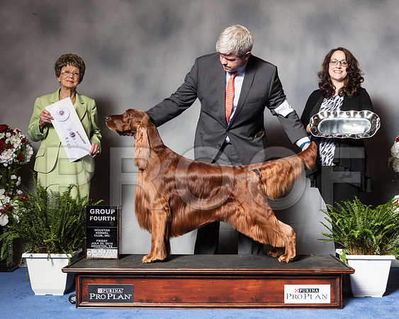 Irish Setter #5 Fri G4 Judge Pat Trotter-SSR_5223-HR3