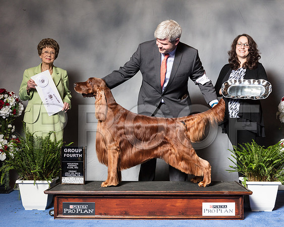 Irish Setter #5 Fri G4 Judge Pat Trotter-SSR_5225-HR3
