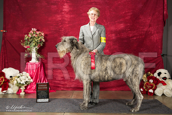 _ST_2583-BeltonJan2015IABCA-HR3