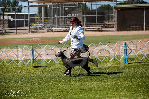 _JJ_8284-AlamogordoOct2014-HR3