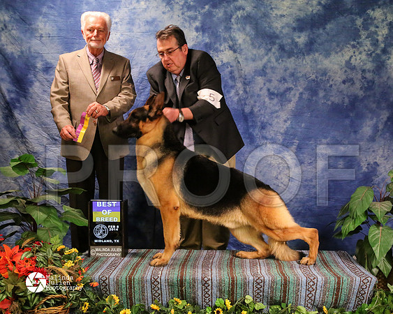 GESD-7885-MidFeb14-HR