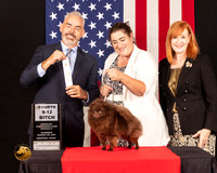 Pomeranian #10 Thurs 9to12Sweeps4th Judge Dale Martenson