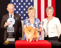 Pomeranian #34 Thurs SB Judge_Fred_Bassett