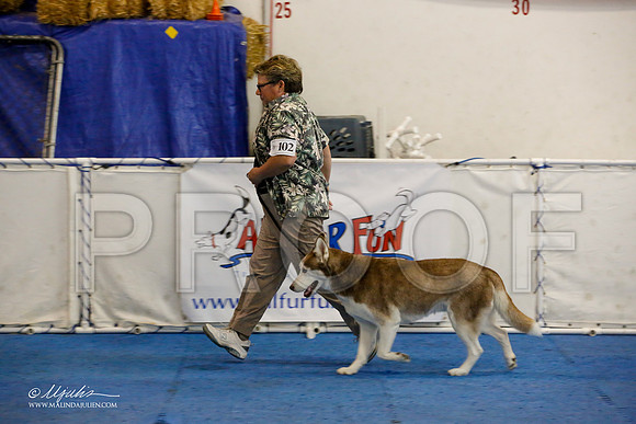 _M3_7839-AddisonHuskyMar2015-HR3