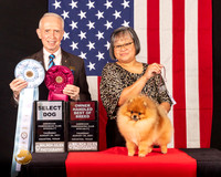 Pomeranian #57 Thur SDOHBOB Judge_Fred_Bassett