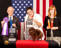 Pomeranian #10 Thur RWB Judge_Fred_Bassett