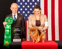 Pomeranian #30 Thur BVet Judge_Fred_Bassett