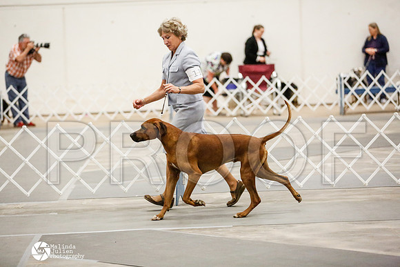_RH_4115-AblnMay2014-web