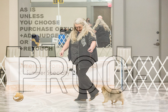 Pomeranian Thurs 4to6B Specialty_1718-HstnToy21-HR3