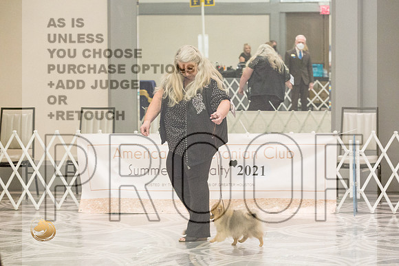 Pomeranian Thurs 4to6B Specialty_1720-HstnToy21-HR3