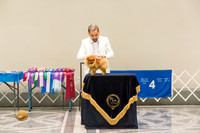Pomeranian Thurs 9to12D Sweeps