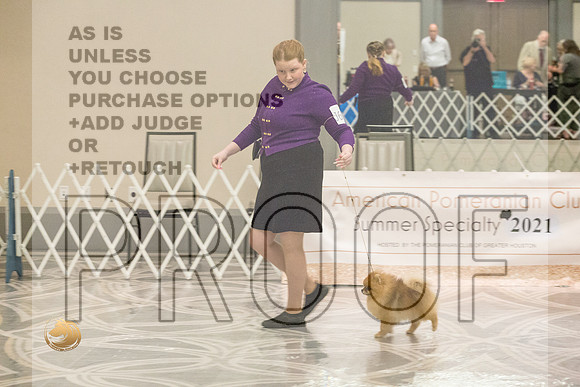 Pomeranian Thurs Juniors_1770-HstnToy21-HR3