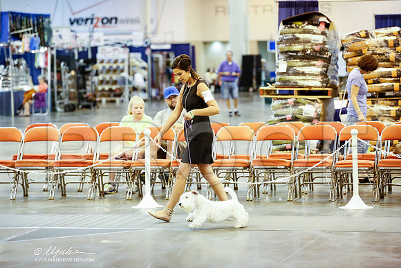 _JJ_6796-DalJul2014-HR3