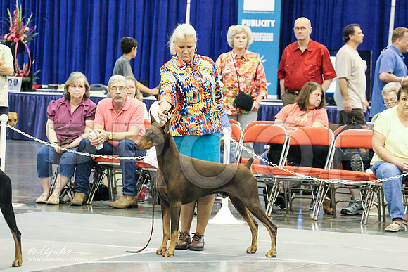Dobe-0266 PROOF