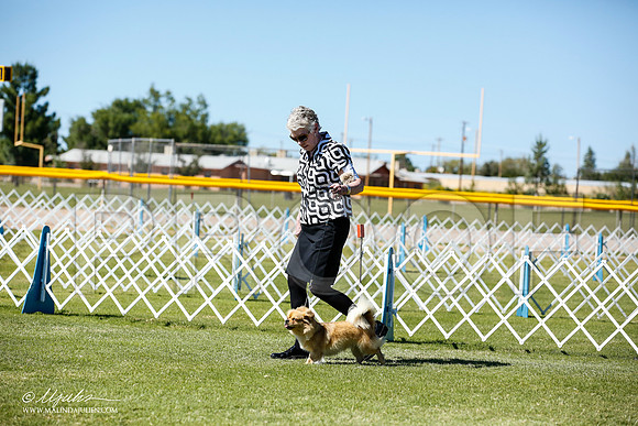 _JN_9281-AlamogordoOct2014-HR3