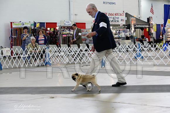 _HR_2909-DallasJul2014-HR3