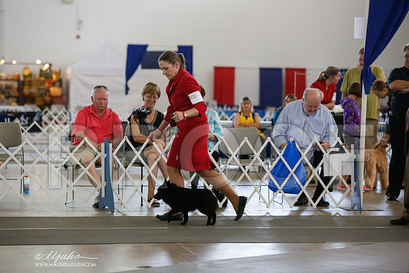 _JJ_2495-DallasJul2014-HR3