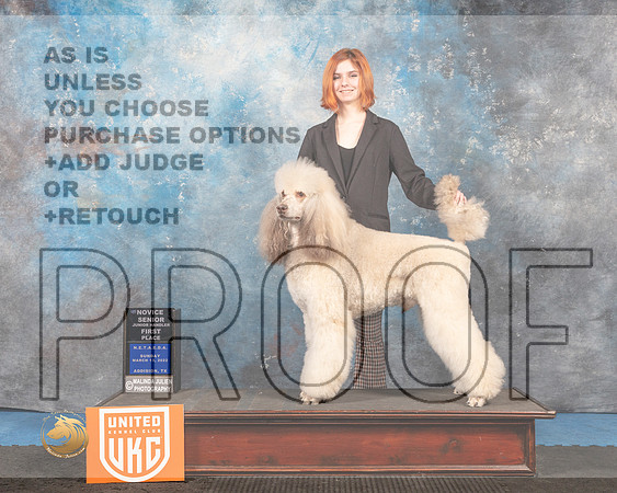 Poodle Std MC #266 Sun NovSrJr1 Judge David Arthur_MMJ_6600_Addison2022_HR3