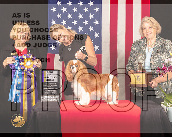 Cavalier King Charles Spaniel #6 Fri1 BISS Judge_Mary_Hanus_0250_HstnToy21-HR3