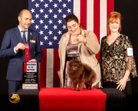 Pomeranian #10 Fri1 9to122nd Judge_Geno_Sisneros