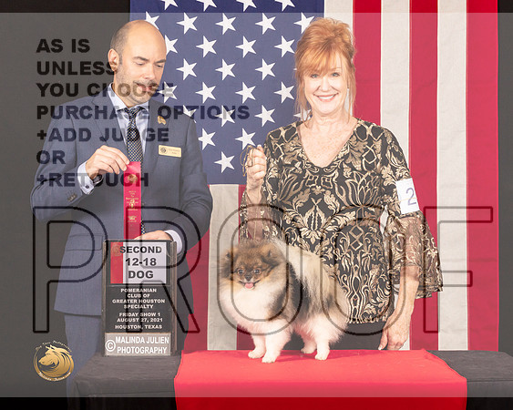 Pomeranian #25 Fri1 12to182nd Judge_Geno_Sisneros_0385_HstnToy21-HR3