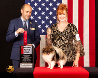 Pomeranian #25 Fri1 12to182nd Judge_Geno_Sisneros