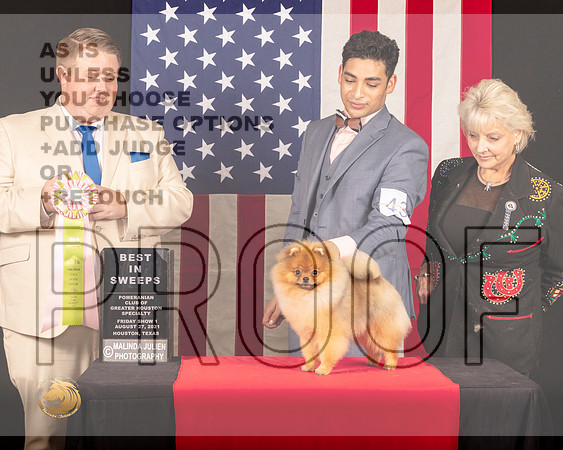 Pomeranian #41 Fri1 BISweeps Judge_Drew_Deaton_0348_HstnToy21-HR3