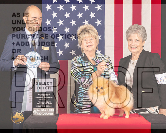 Pomeranian #34 Fri1 SB Judge_Geno_Sisneros_0379_HstnToy21-HR3