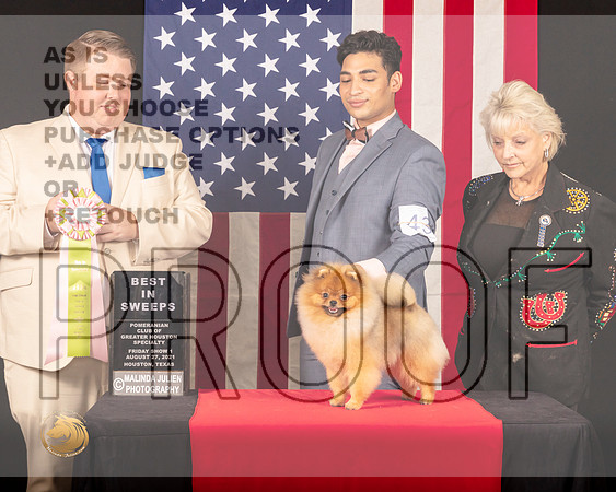 Pomeranian #41 Fri1 BISweeps Judge_Drew_Deaton_0354_HstnToy21-HR3