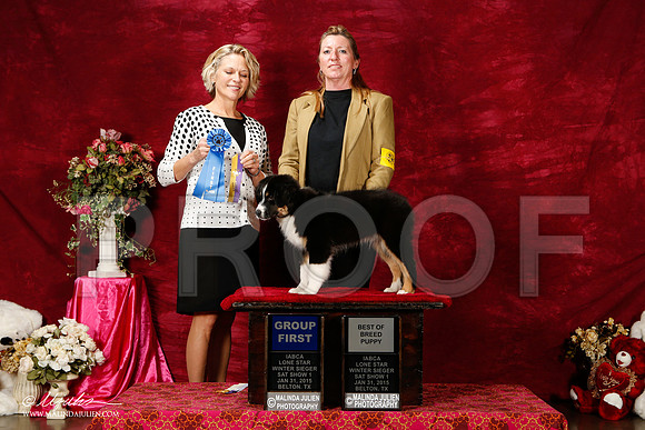 _ST_2647-2-BeltonJan2015IABCA-HR3