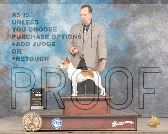 Rat Terrier #6 Fri G3 Judge Brad JenkinsMMJ_3551_Mdlnd2022_HR3