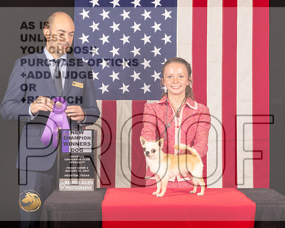 Chihuahua Smooth #23 Fri2 WDNCh Judge_Geno_Sisneros_0423_HstnToy21-HR3