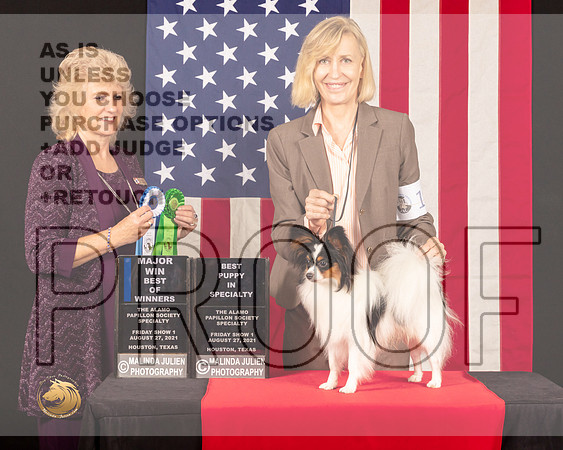 Papillon #19 Fri2 BOWBPup Judge_Lisa_Graser_0433_HstnToy21-HR3