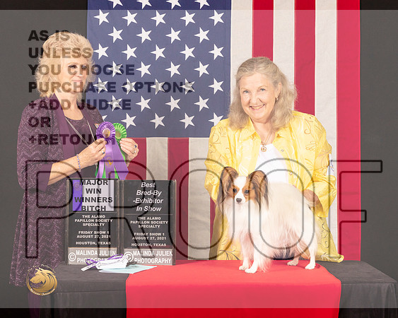 Papillon #8 Fri2 WDBBE Judge_Lisa_Graser_0442_HstnToy21-HR3