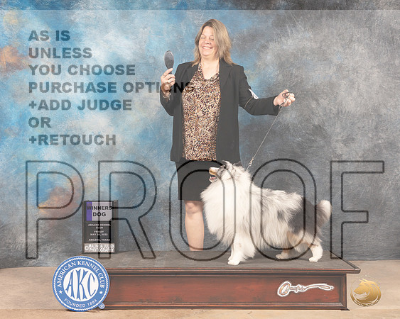 Shetland Sheepdog #9 Fri WD Judge Eric Liebes r-MMJ_2994-Addison2022-HR3