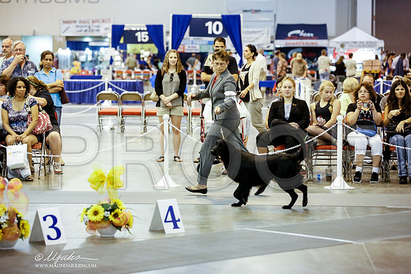 _JN_7994-HstnJul2014-HR3