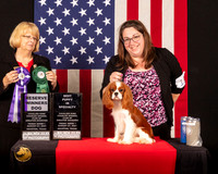Cavalier King Charles Spaniel #15 Fri1 RWDBPup Judge_Mary_Hanus