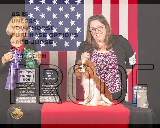 Cavalier King Charles Spaniel #15 Fri1 RWDBPup Judge_Mary_Hanus_0601_HstnToy21-HR3