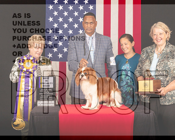 Cavalier King Charles Spaniel #21 Fri2 BISS Judge_Judith_Brown_0619_HstnToy21-HR3