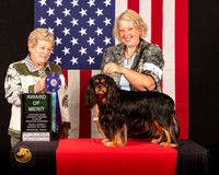 Cavalier King Charles Spaniel #23 Fri2 AOM Judge_Judith_Brown