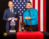 Chihuahua Long Coat #5 Fri2 RWD Judge_Geno_Sisneros