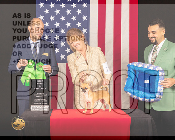 Chihuahua Smooth #12 Fri2 BPup Judge_Geno_Sisneros_0526_HstnToy21-HR3