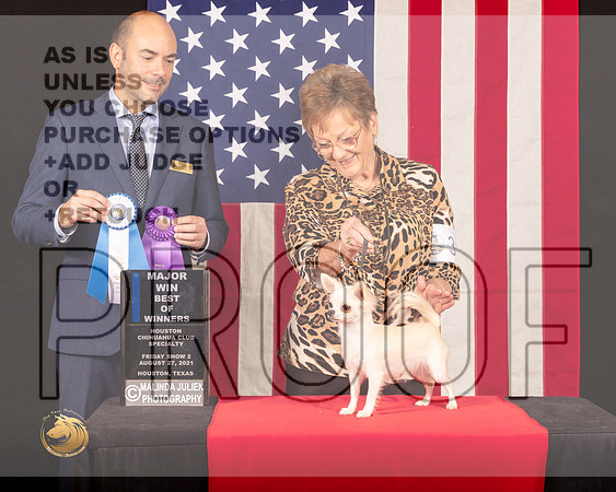 Chihuahua Smooth #32 Fri2 BOW Judge_Geno_Sisneros_0517_HstnToy21-HR3