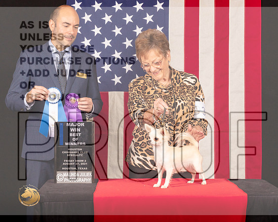 Chihuahua Smooth #32 Fri2 BOW Judge_Geno_Sisneros_0518_HstnToy21-HR3