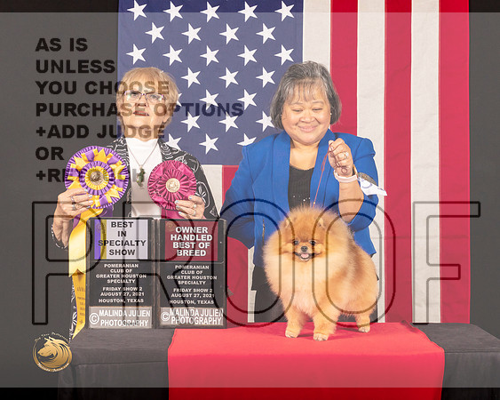 Pomeranian #51 Fri2 BISS OHBOB Judge_Suzanne_Dillin_0458_HstnToy21-HR3